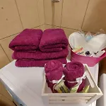 Apartament Violet με πισίνα Wolos